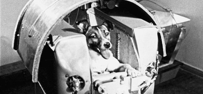 Laika